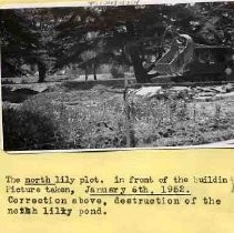 Destruction of Capitol Park lily pond