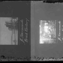 Negative, Glass Plate