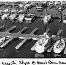 Empty Slips at Brown's Ravine Marina