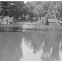 Sutter's Fort pond