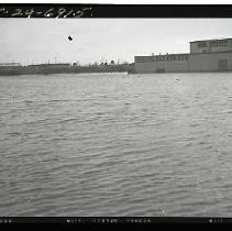 Negative, Safety, unknown