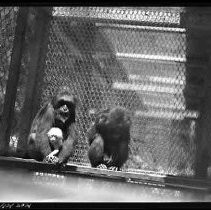 Negative, Safety, Unknown