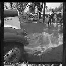 Negative, Safety, Unknown