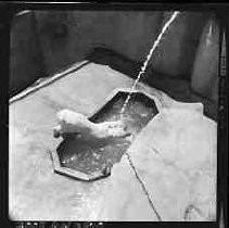 Negative, Safety, Unknown