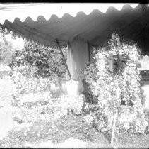 Cemetery, funeral with flowers Frederick W. Westphal