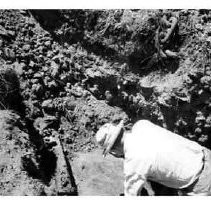 Drake's Bay. "J. Hussey in excavation at Drake's possible landing, Drakes ."