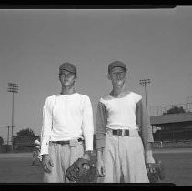 Baseball School