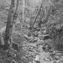 Unidentified country scene