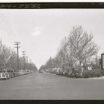 Negative, Safety, unknown