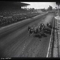 Negative, Safety, Unknown