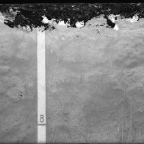 Negative, Glass Plate