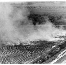 Rice straw burining at Knights Landing