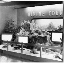 View of Alpine County's exhibit booth at the California State Fair. This was the last fair held at the old fair grounds