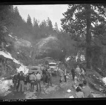 Negative, Safety, Unknown