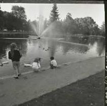 Negative, Safety, Unknown