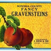 Sonoma County Fancy Gravensteins