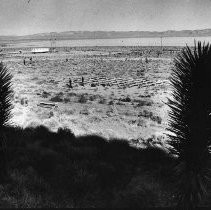 Print, Photographic, Black and White