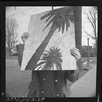 Negative, Safety, Unknown