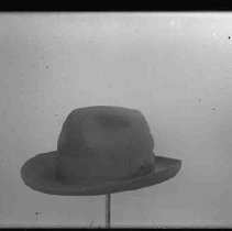 Negative, Glass Plate