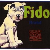 Fido