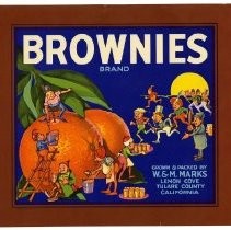 Brownies Brand