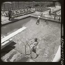 Negative, Safety, Unknown