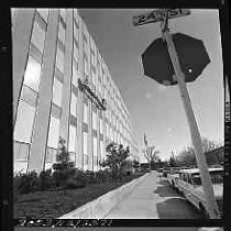 Negative, Safety, Unknown