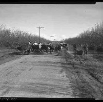 Negative, Safety, Unknown