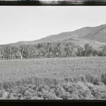 Negative, Safety, unknown