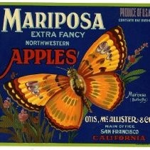 Mariposa Apples