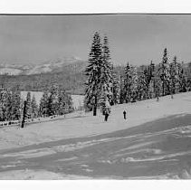 Skiing at Soda Springs; "Buy a Bomber" benefit