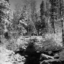 Snow in Christmas Valley