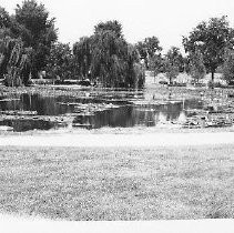 McKinley Park Pond