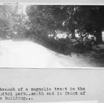 Print, Photographic, Black and White