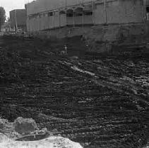 Negative, Safety, Unknown