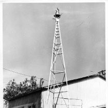 Sutter Creek's first firebell rests at the top of this tower