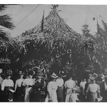 Tokay Carnival Lodi, California