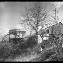 Negative, Glass Plate