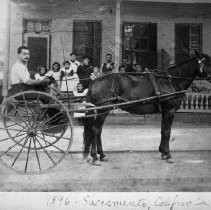 Negative, Safety, Unknown