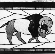 Stained glass window image of a buffalo from inside the Buffalo Club