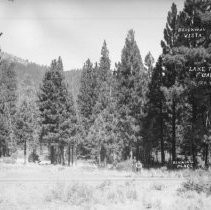 Location of original Benning family cabin