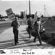 Redding porn protest