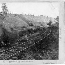Approaching Bloomer Cut