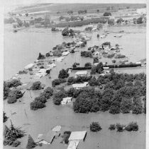 Flooded Isleton