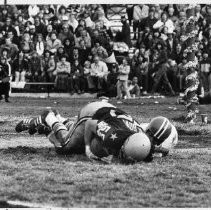 Players Wrestle for Ball in Pig Bowl