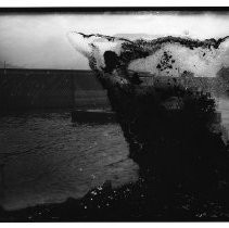 Negative, Glass Plate