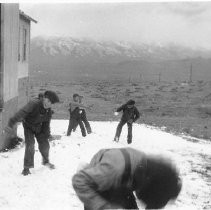 Snowball Fight