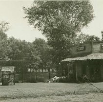 Roaring Camp