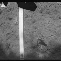 Negative, Glass Plate