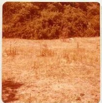 Photographs of landscape of Bolinas Bay. "Bolinas Lagoon, 8-77"